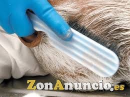 Se necesita personal de tanatoestetica,tanatopraxia